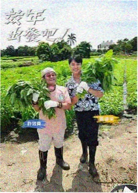综艺《拆解大师》海报